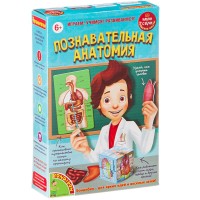Набор для опытов Bondibon 6+ "Познавательная анатомия" (ВВ1836)