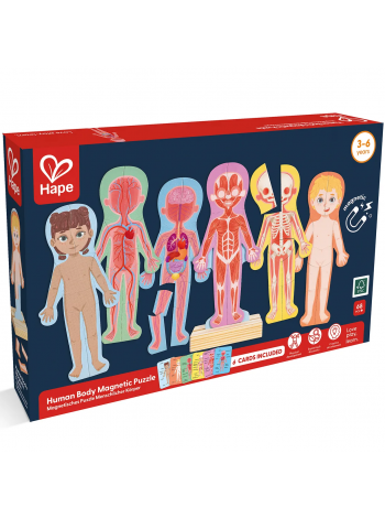 Магнитный конструктор для детей HAPE "Строение тела человека" (E1652_HP)