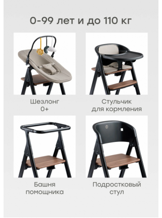 Детский стульчик для кормления Happy Baby DORIAN 4в1 цвет: Black
