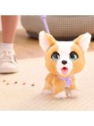 Детская интерактивная игрушка "Корги на поводке" 22 см. Hasbro Furreal Friends (42740)