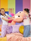 Флаффи Стаффиз Игровой набор Подушка для Челенджа Радуга Fluffie Stuffiez (43871)