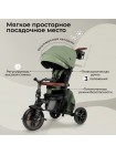 3-х колесный велосипед QPlay Comfo Max цвет: Green (T70)
