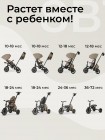 3-х колесный велосипед QPlay Comfo Max цвет: Brown (T70)