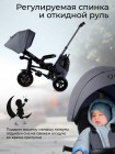 3-х колесный велосипед QPlay SPRINTER MAX 6в1 цвет: Grey (Oxford/Graphite) (S702)