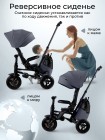 3-х колесный велосипед QPlay SPRINTER MAX 6в1 цвет: Grey (Oxford/Graphite) (S702)